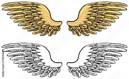 Hand drawn, set of wings