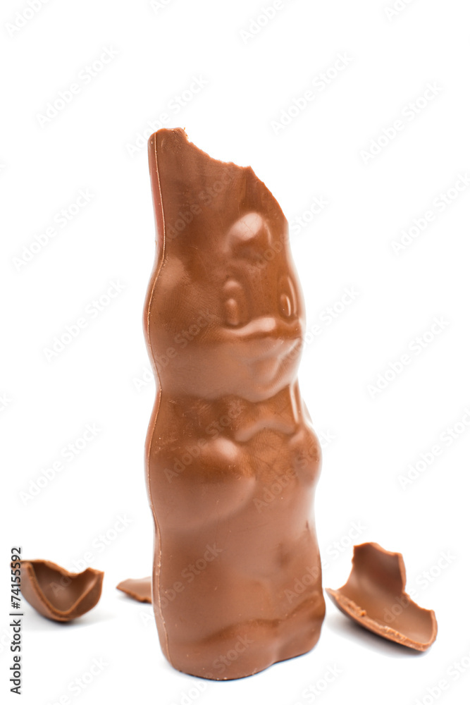 chocolate bunny chocolate bunny