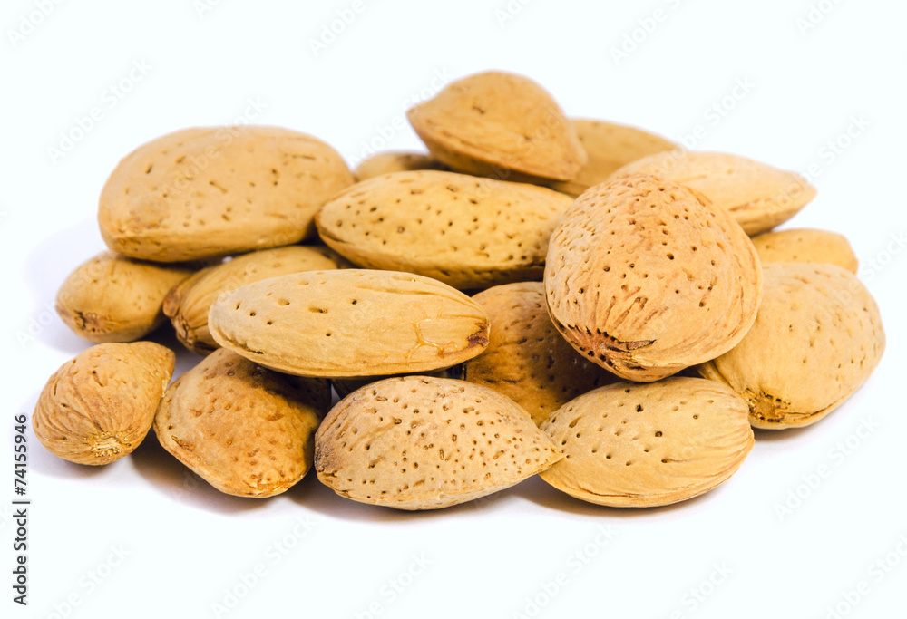 almonds inshell almonds inshell