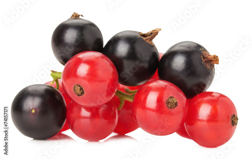 red and black currants isolated on the white background