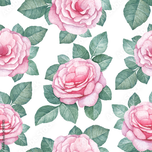 Watercolor pattern with rose illustrations