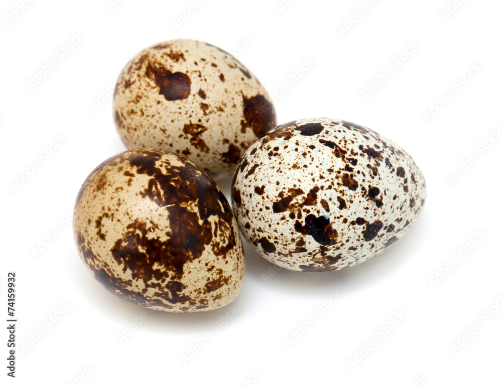 quail eggs isolated on white background quail eggs isolated on white background