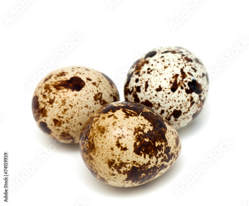 quail eggs isolated on white background