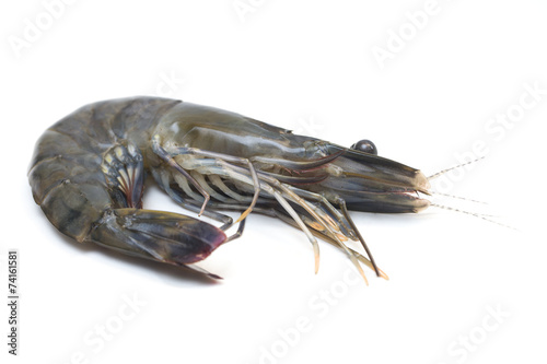 Raw black tiger shrimp on white background © tatomm