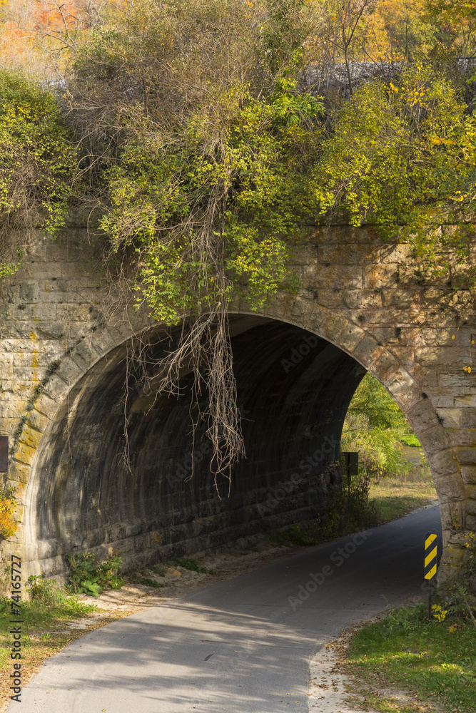 Stone Arch Bridge In Autumn