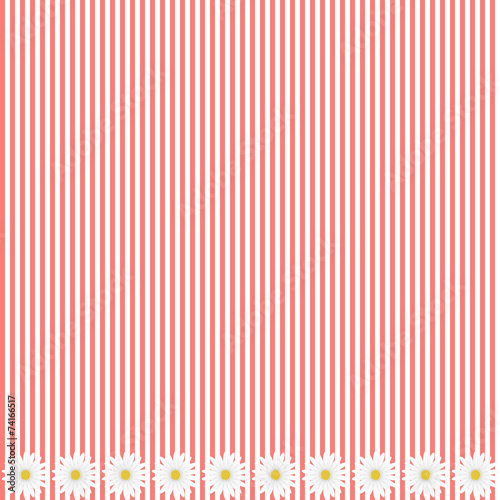 Fototapeta Naklejka Na Ścianę i Meble -  Pink stripe background with daisy flowers, vector image