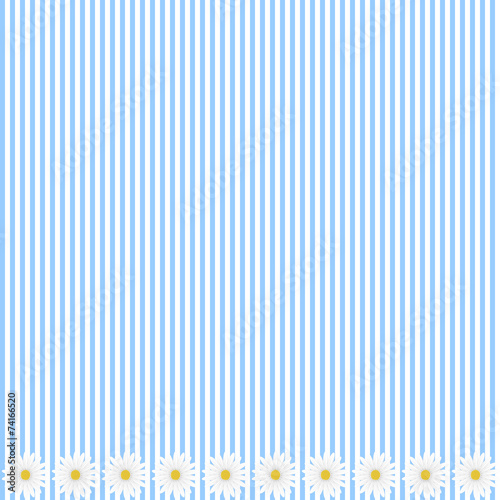 Fototapeta Naklejka Na Ścianę i Meble -  Blue stripe background with daisy flowers, vector image
