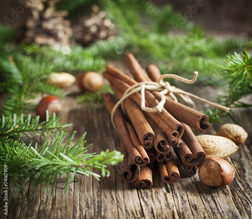 Christmas still life: cinnamon, nuts and fir branches