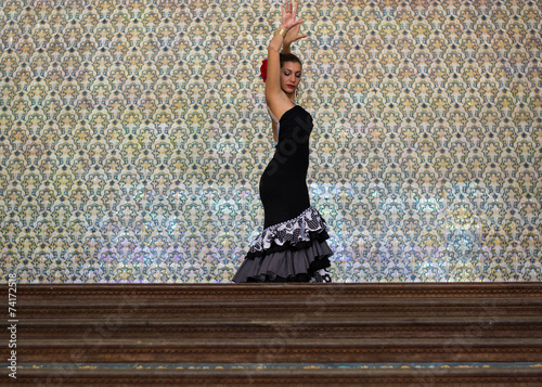 Wonderful flamenco girl
