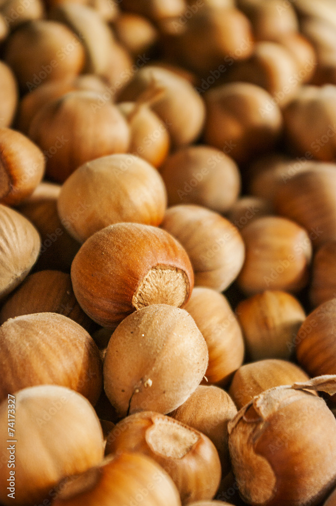 Hazelnuts, filbert on old wooden background Hazelnuts, filbert on old wooden background