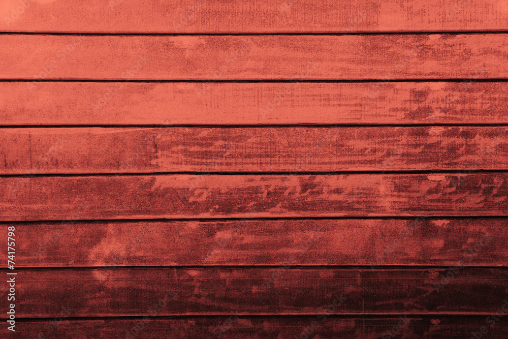 Fototapeta premium Wall Wood Backgrounds & Textures