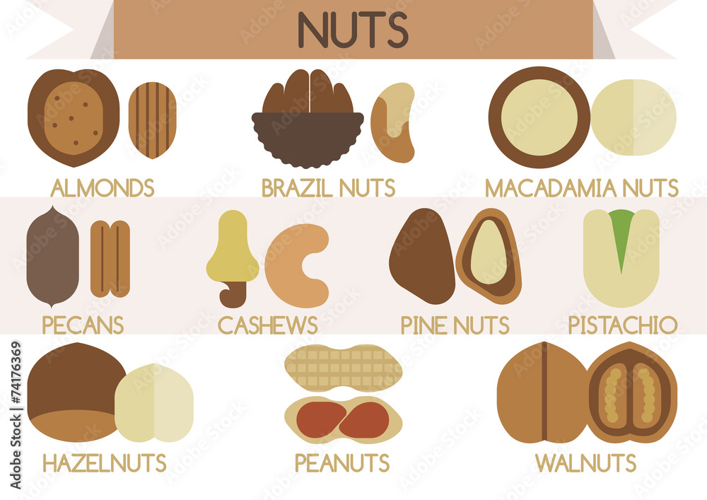 Nuts vector Illustrator