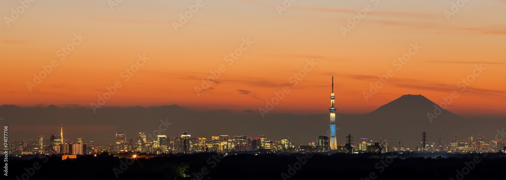 Fototapeta premium Tokyo city view,Tokyo sky tree , Tokyo Tower and Fuji mountain