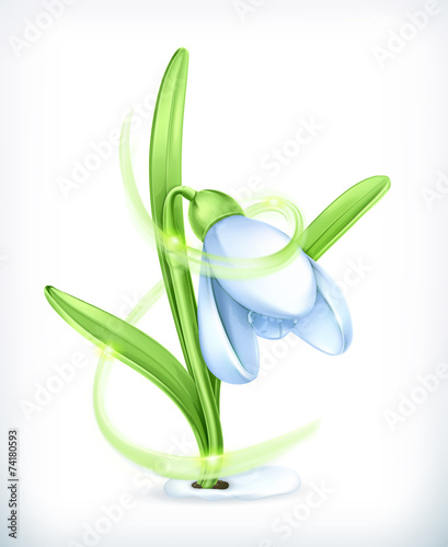 Snowdrop, vector icon
