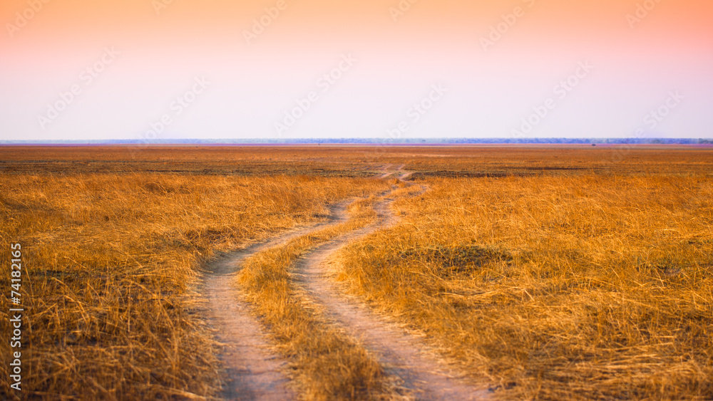 African savannah African savannah