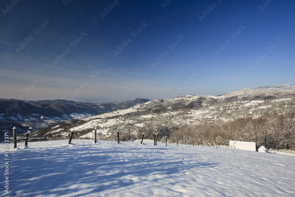 winter landscape