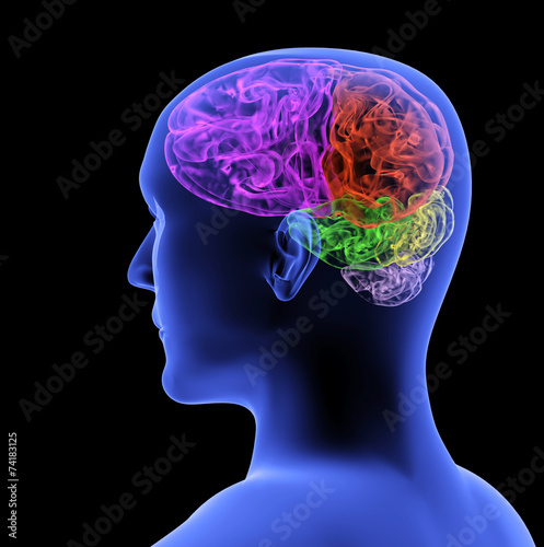 Tableau sur toile Transparent 3d head