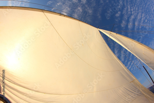 background for travel - sails full of wind