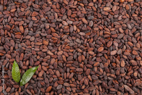 cocoa beans background with leaf