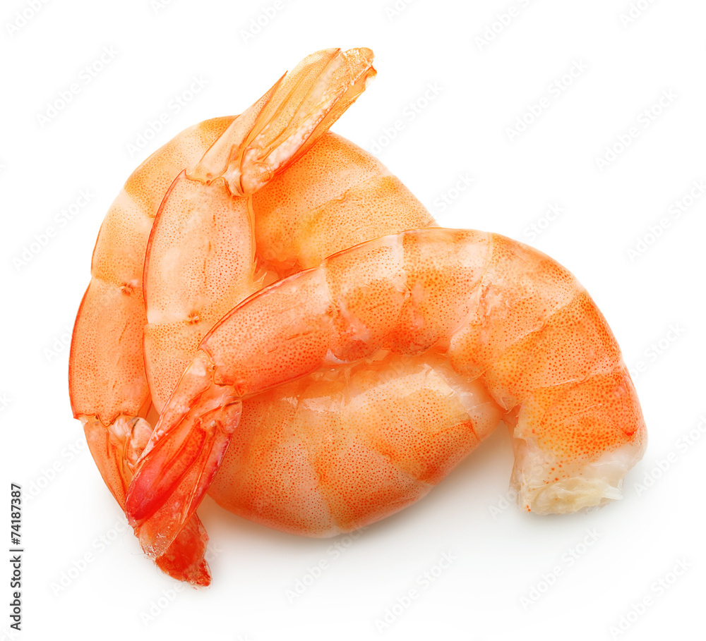 Cooked shrimp isolated