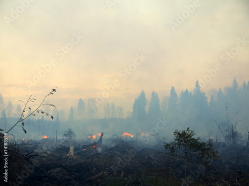 wildfire 006