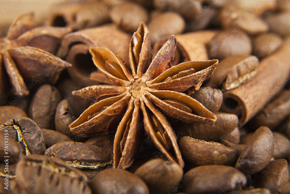 Obraz premium grains of coffee and seasoning
