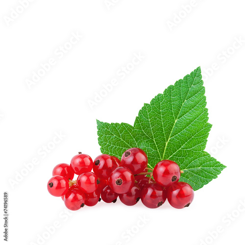 currant berry