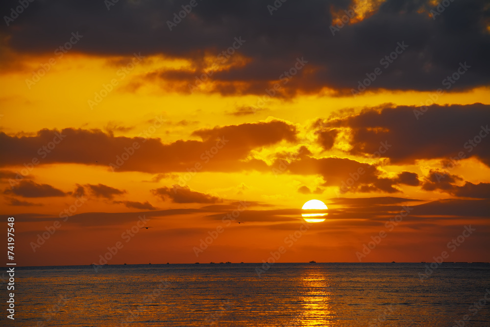 scenic sunset with seagulls over the sea