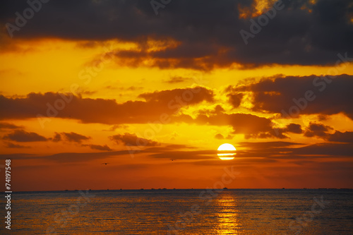 scenic sunset with seagulls over the sea