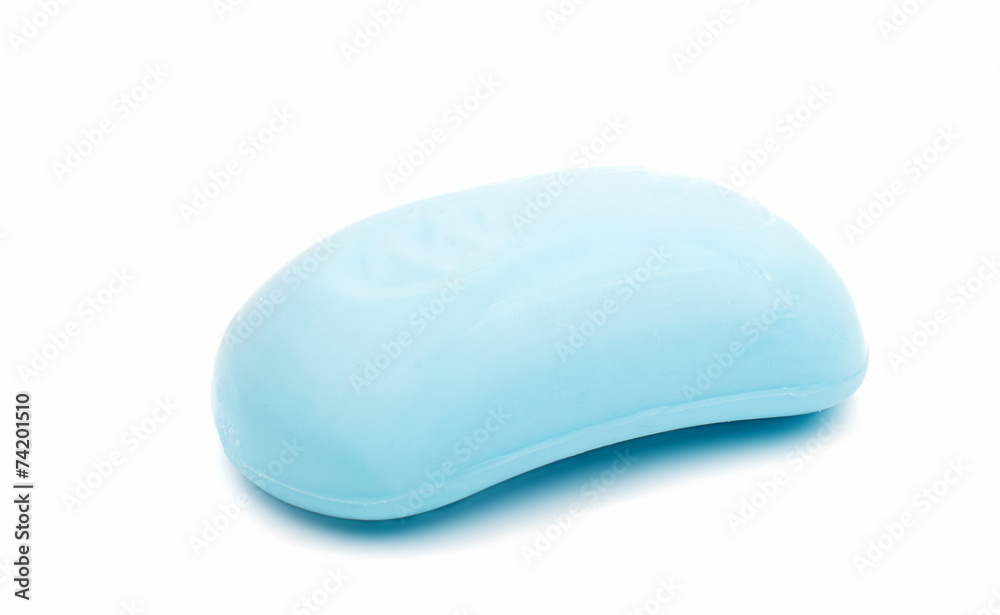 soap in the soap dish soap in the soap dish