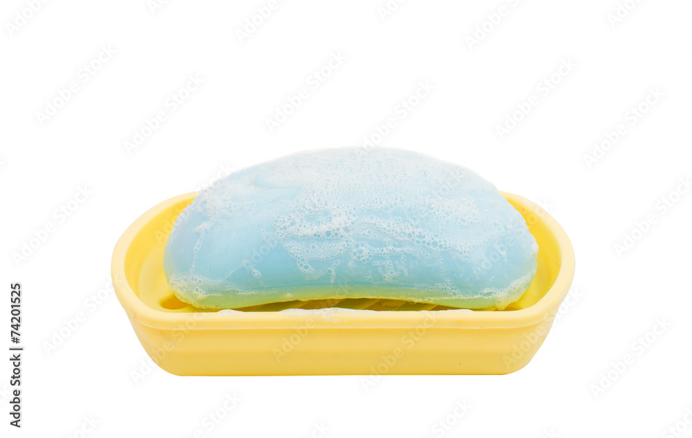 soap in the soap dish soap in the soap dish