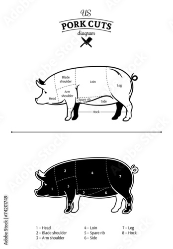 American (US) Pork Cuts Diagram