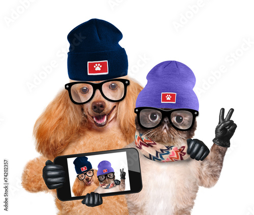 Fototapeta Naklejka Na Ścianę i Meble -  dog with cat taking a selfie together with a smartphone