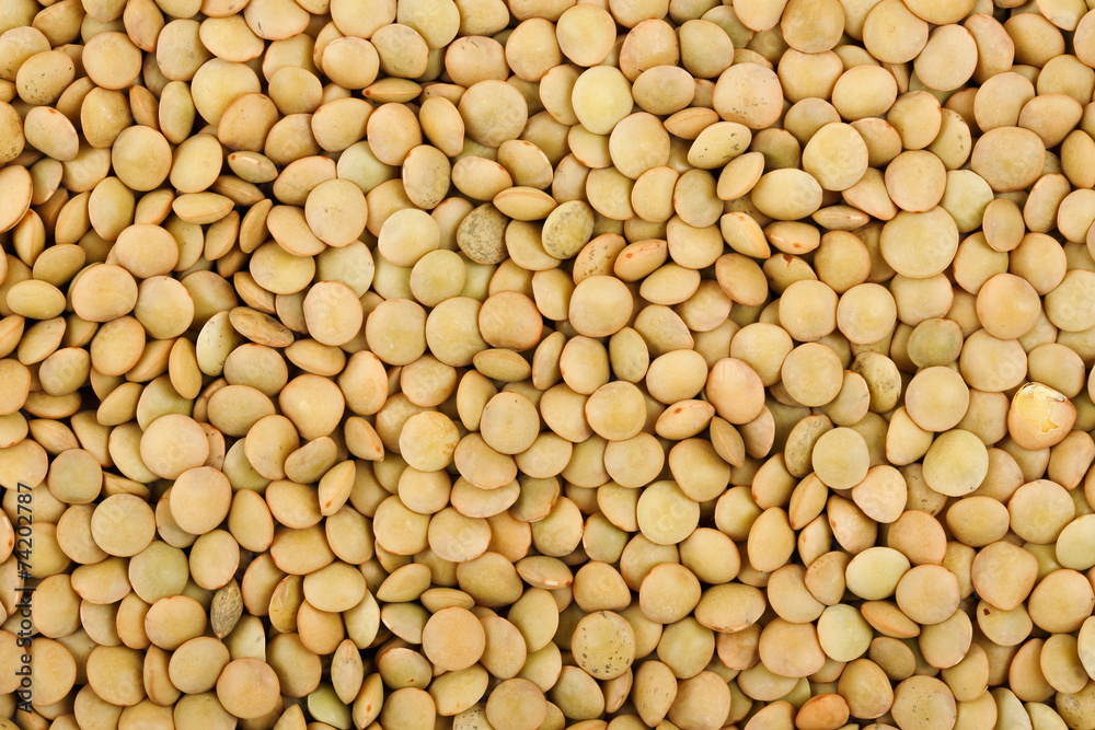 raw lentils raw lentils