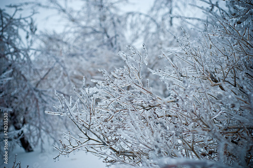 Зима, лёд © myskina6