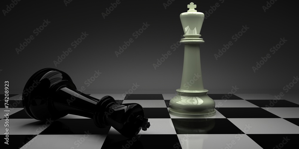 Chess. Checkmate. Victory white