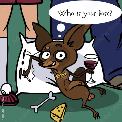 Фотография funny cute Chihuahua. vector illustration