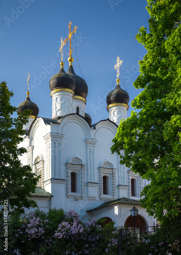 St Vladimir's Church photo