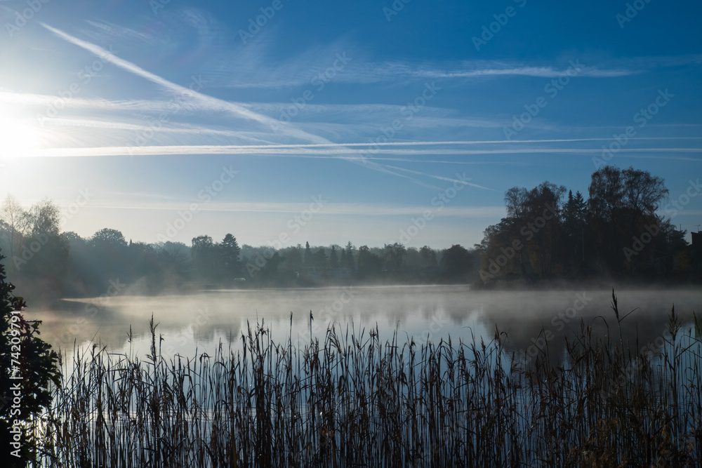 Fototapeta premium frosty morning