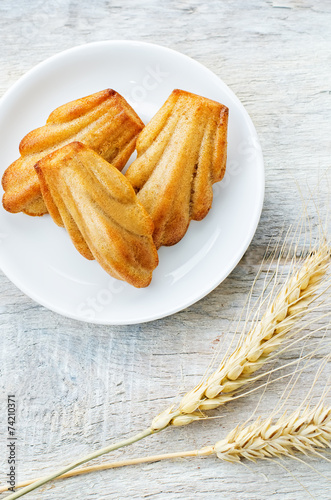 wholegrain Madeleine photo