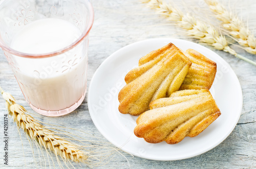 wholegrain Madeleine photo