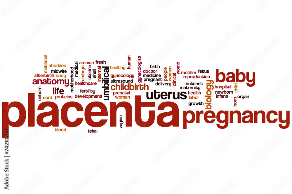 Placenta word cloud Placenta word cloud