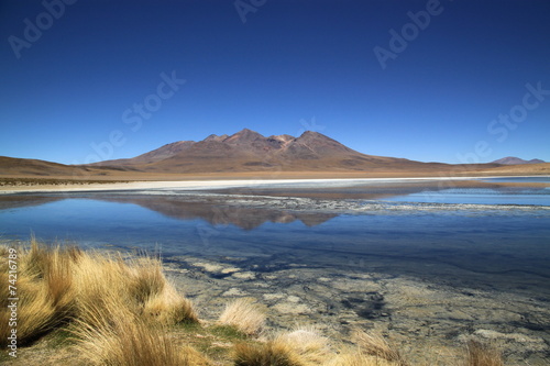 Scenic lagoon in Bolivia  South America  Laguna de Canapa 