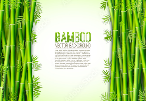 Bamboo  background concept. Vector illustration