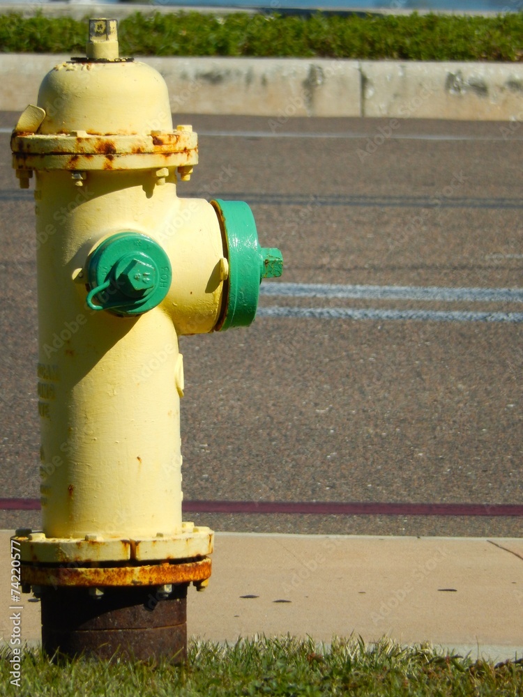 Yellow fire hydrant next