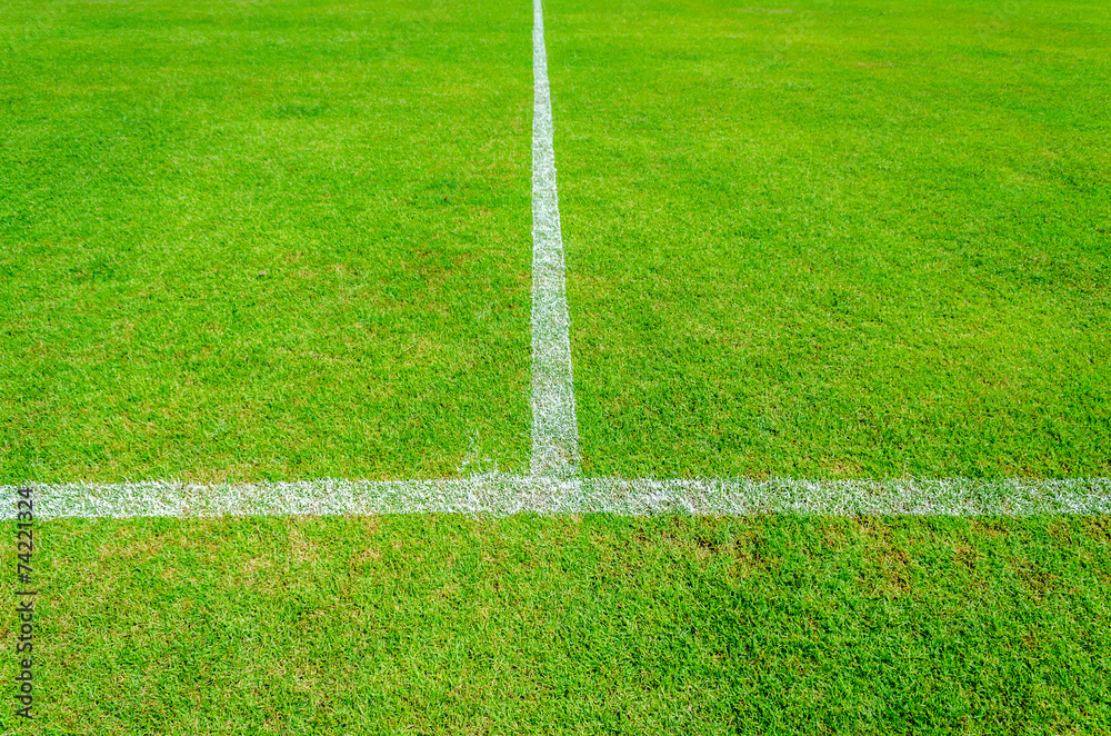 Green soccer field with white line