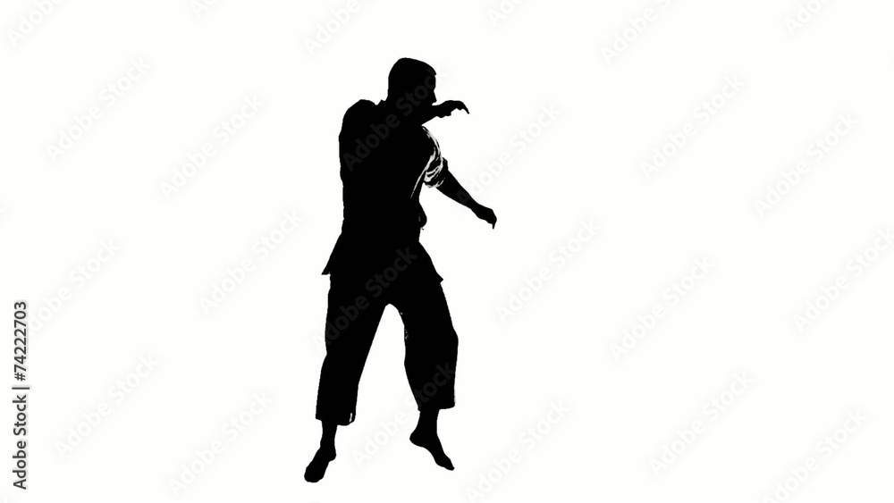 Silhouette of a karate man exercising against white background. Silhouette of a karate man exercising against white background.