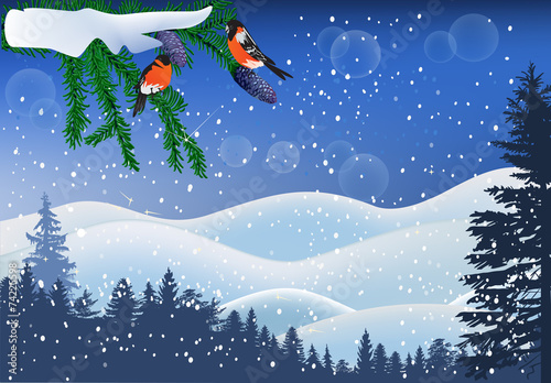 two bullfinches in winter forest