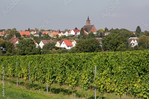 Essingen in der Südpfalz