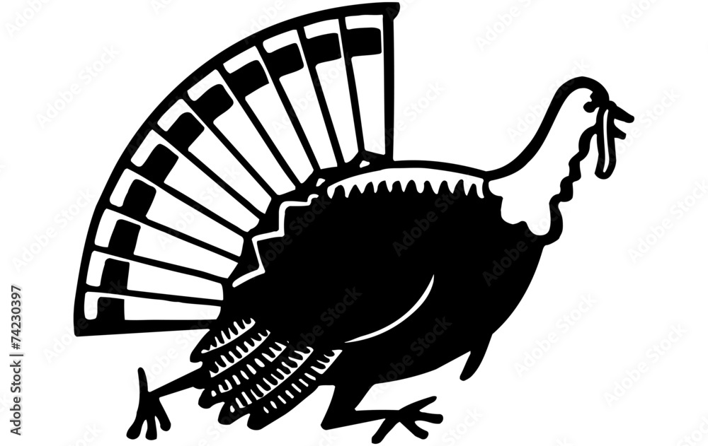 Obraz premium Turkey Running